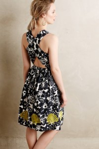 Hana Embroidered Dress by WHIT Two