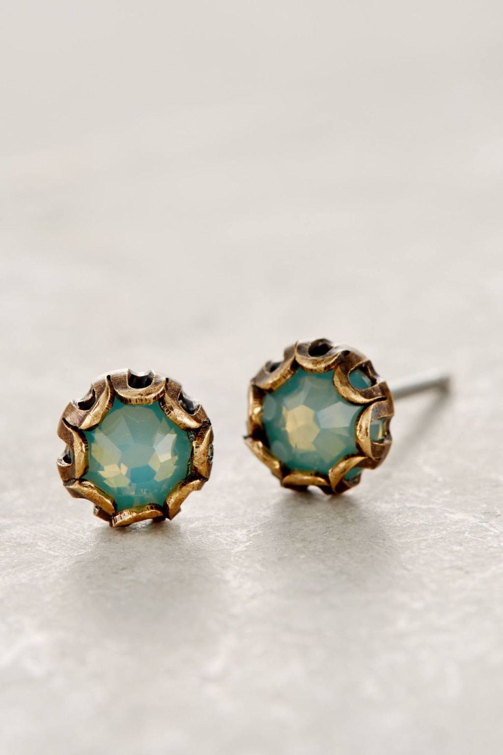 Scalloped Sea Studs