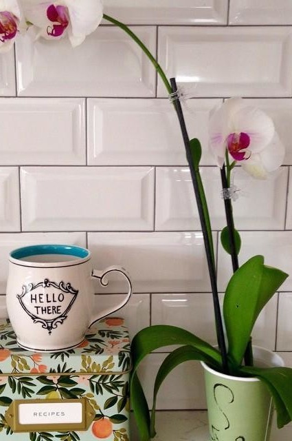 "Hello there" Crowned Leaf Mug