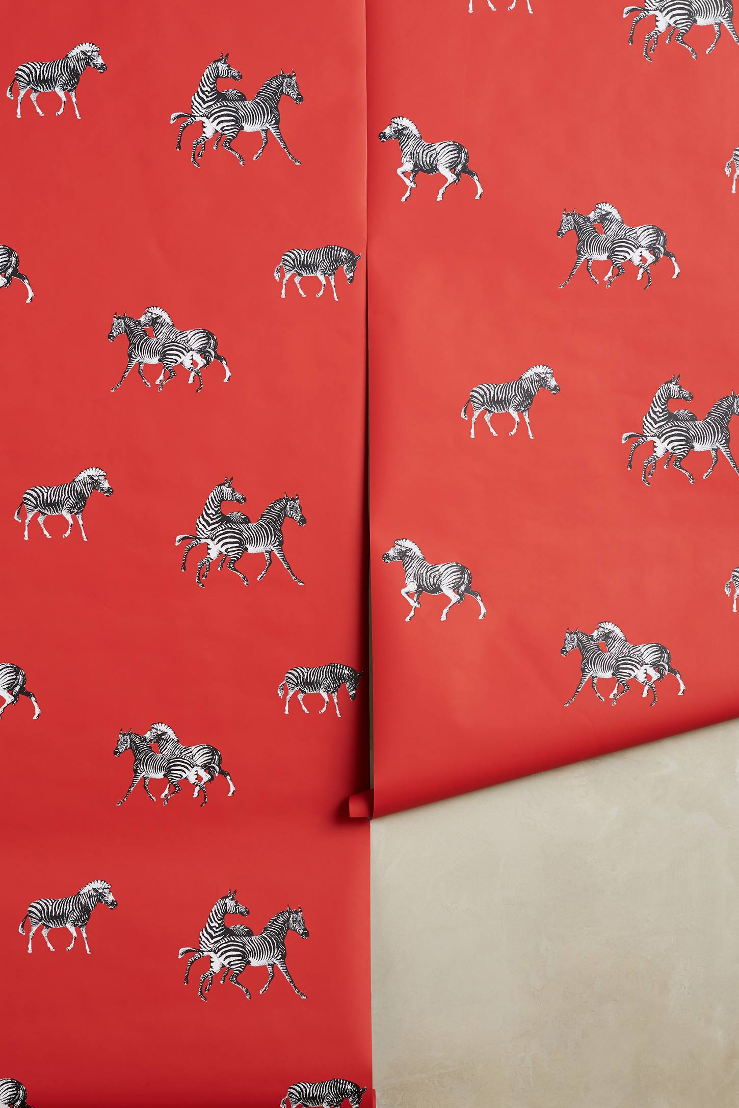 Cavorting Zebras Wallpaper