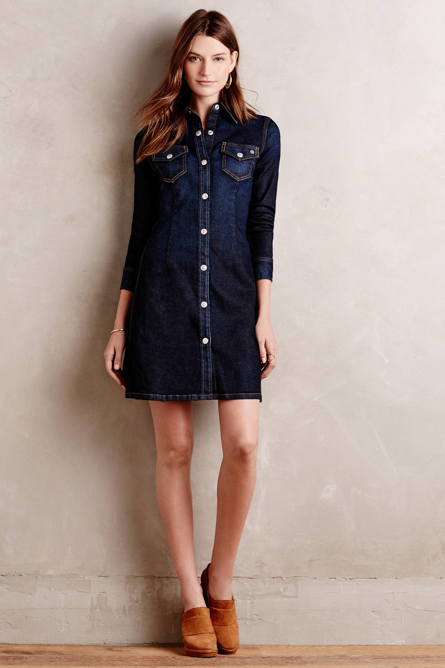 Pixie Denim Shirtdress by Alexa Chung for AG