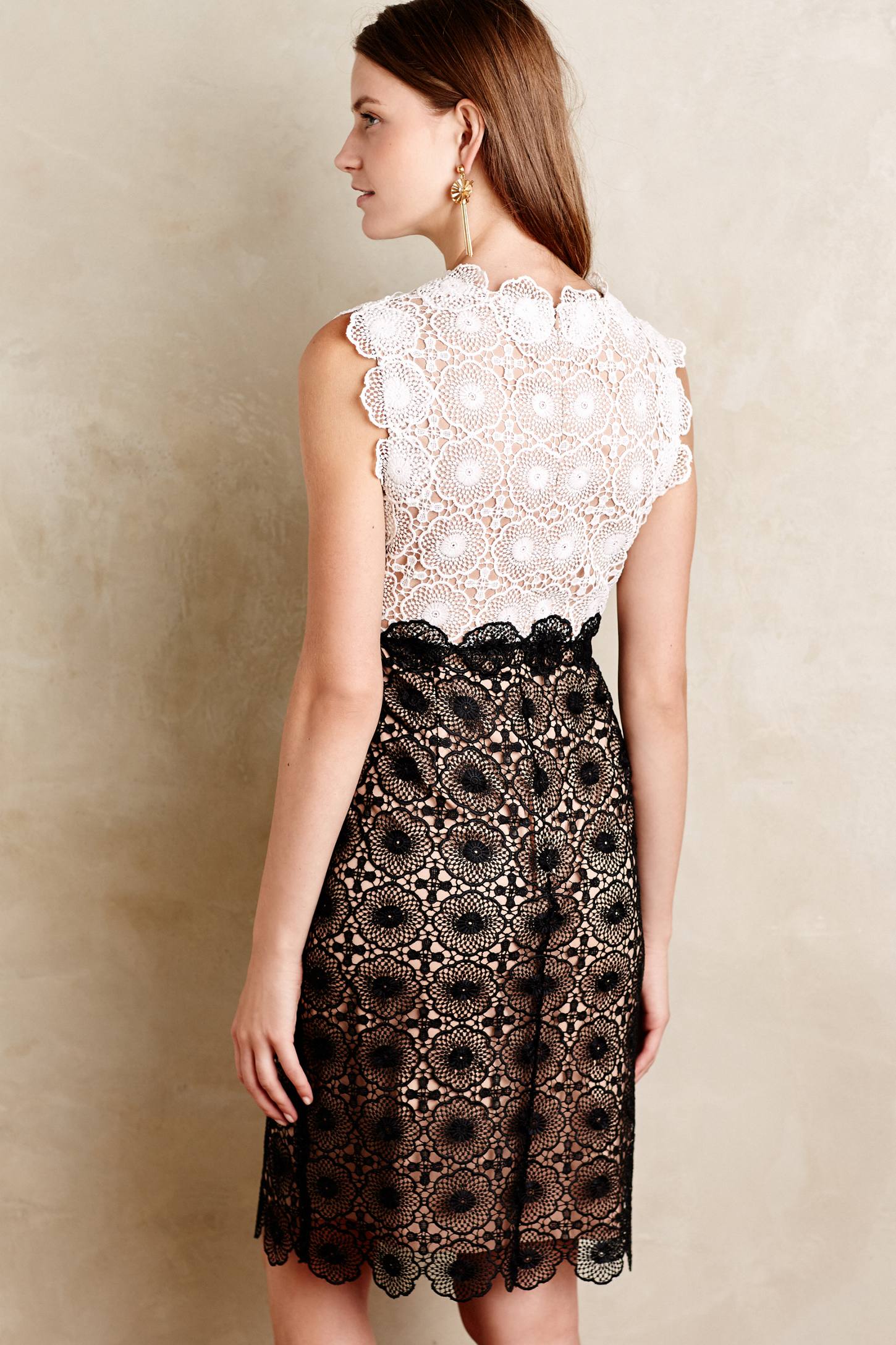 Concerto Lace Dress by HD in Paris