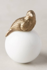 Higher Ground Knob