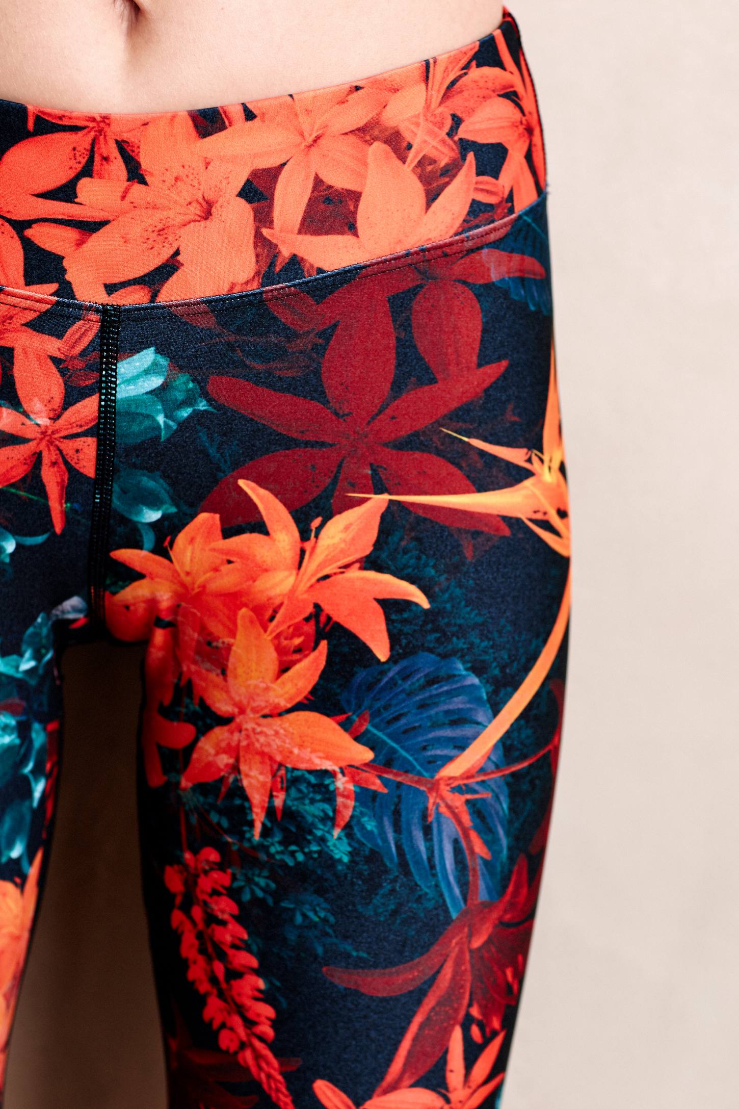 Casablanca Performance Crops